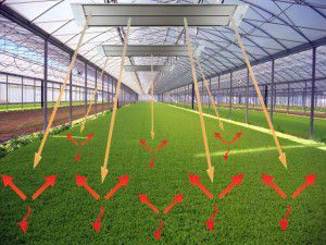 Chauffage infrarouge dans une serre