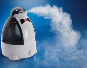 Humidificateur à vapeur